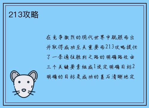 213攻略