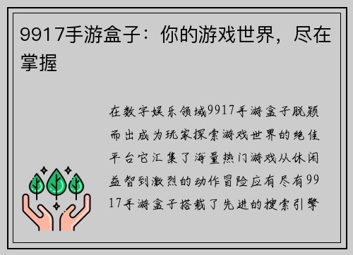 9917手游盒子：你的游戏世界，尽在掌握
