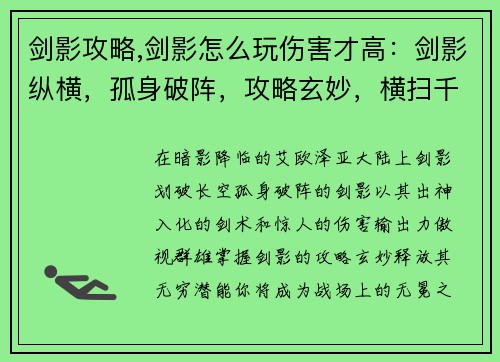 剑影攻略,剑影怎么玩伤害才高：剑影纵横，孤身破阵，攻略玄妙，横扫千军